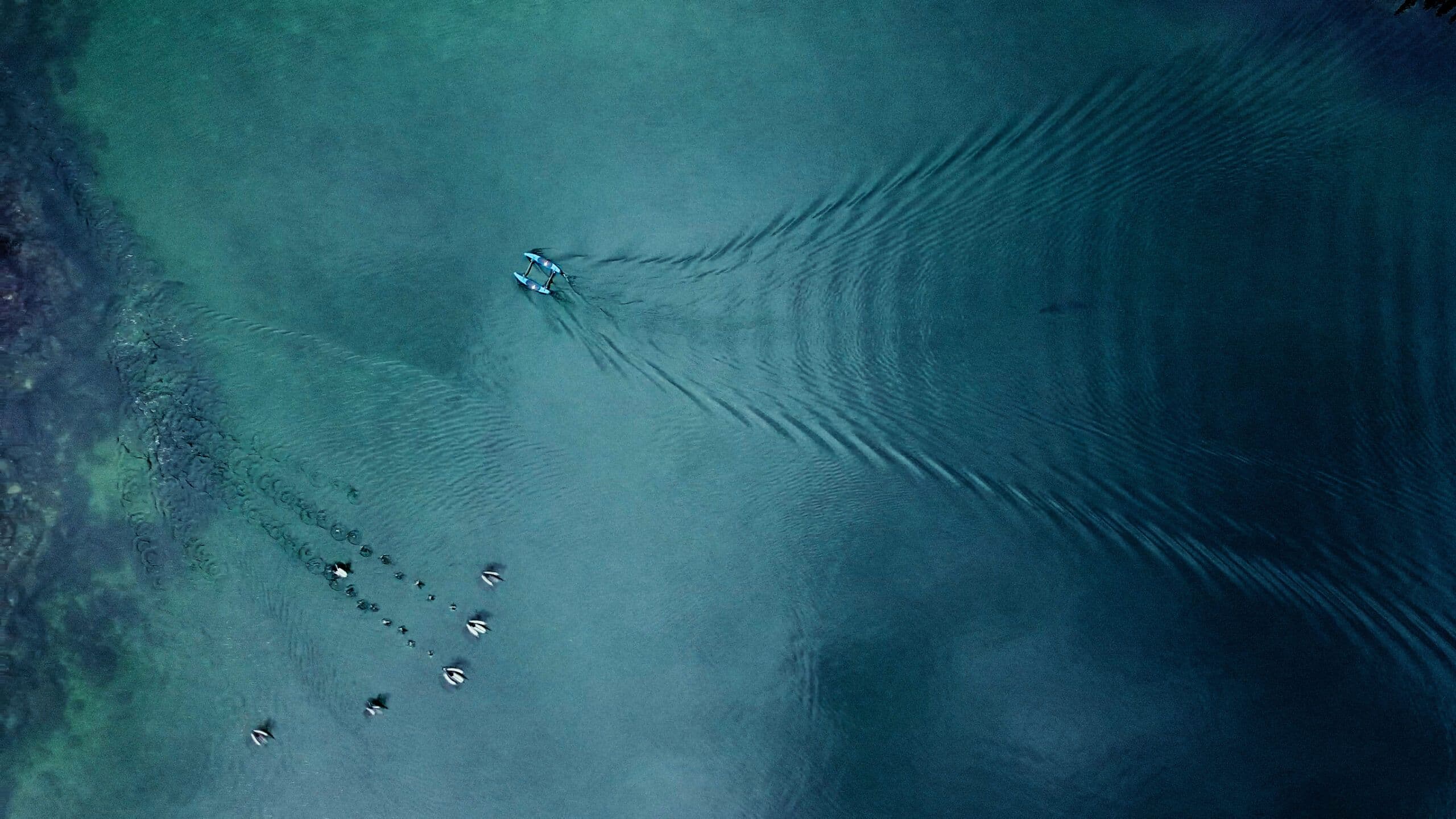 Open-water scene representing BlueBoat survey and research missions.